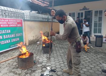 Satpol PP dan Kejari Gelar Pemusnahan Narkotika, Oharda dan Kosmetik Ilegal