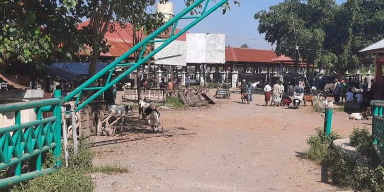 Pasar Hewan Masbagik Ditutup akibat Wabah PMK