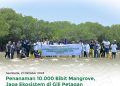 Penanaman 10.000 Bibit Mangrove Bentuk Kepedulian Bank NTB Syariah Untuk Menjaga Ekosisten Di Gili Petangan