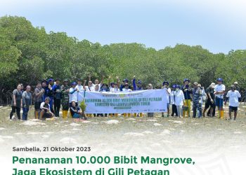 Penanaman 10.000 Bibit Mangrove Bentuk Kepedulian Bank NTB Syariah Untuk Menjaga Ekosisten Di Gili Petangan