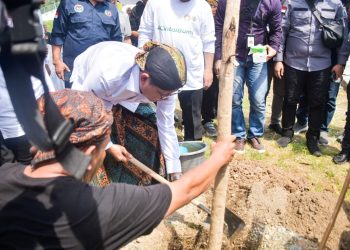 Jum’at Salam, Pemprov NTB Bersama Kementerian Desa Tanam Pohon Wujud Cinta Bumi