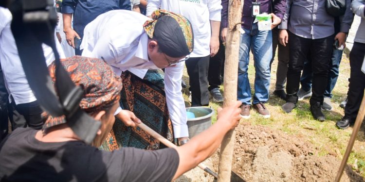 Jum’at Salam, Pemprov NTB Bersama Kementerian Desa Tanam Pohon Wujud Cinta Bumi
