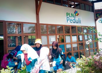 Libatkan Komunitas Difabel, Amani Eco School Besutan TJSL PLN Menerima 1.622 Pengunjung