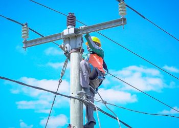 Menuju Rasio Elektrifikasi 100%, PLN Bangun Jaringan Listrik Perdesaan Menuju Desa Tepal, Kabupaten Sumbawa