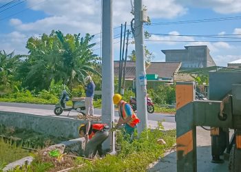 Andalkan Kekuatan Tiang Beton, PLN Praya Terus Tingkatkan Pelayanan