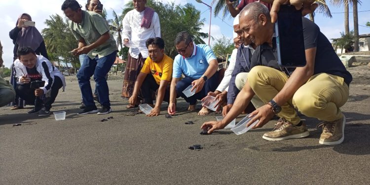  Diwarnai Pelepasan Penyu, Assosiasi Pedagang Asongan NTB Deklarasi Dukung Iqbal-Dinda
