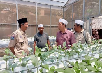 Kepala Pejabat Pendidikan Daerah Kuala Muda Yan Kedah Meninjau Hdroponik MAN Lobar