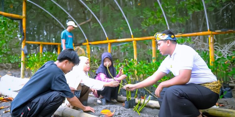 Ekowisata Hutan Mangrove Purba Jerowaru Kerek Ekonomi Masyarakat 