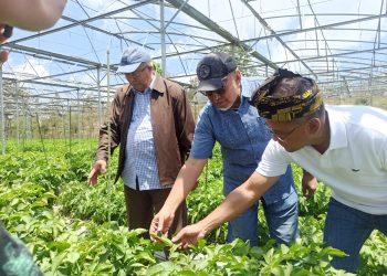 Pupuk Indonesia Gelar Temu Tani di Lombok Timur, Dukung Swasembada Pangan