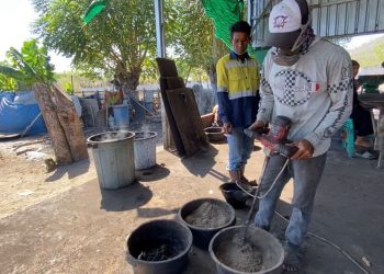PLN Dukung Pemanfaatan Biomassa dalam Co-Firing Menuju Net Zero Emission