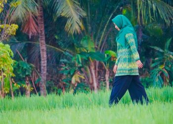 Ummi Rohmi : NTB Harus Tetap Lumbung Pangan Nasional di Tengah Globalisasi dan Kemajuan Zaman