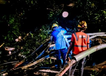 PLN Gerak Cepat Atasi Gangguan Akibat Cuaca Buruk di NTB