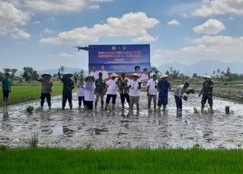 Virtual Tanam Padi Serentak di 14 Provinsi, Provinsi NTB Dipusatkan di Poktan Pohdane Utara, Lombok Barat