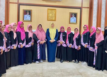 Wagub NTB Umi Dinda Berharap Dukungan IPEMI Sukseskan Visi NTB Makmur Mendunia