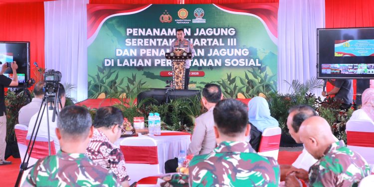 Sambut Kuartal III, Kapolda NTB Tanam Jagung Bareng Petani di Lombok Barat