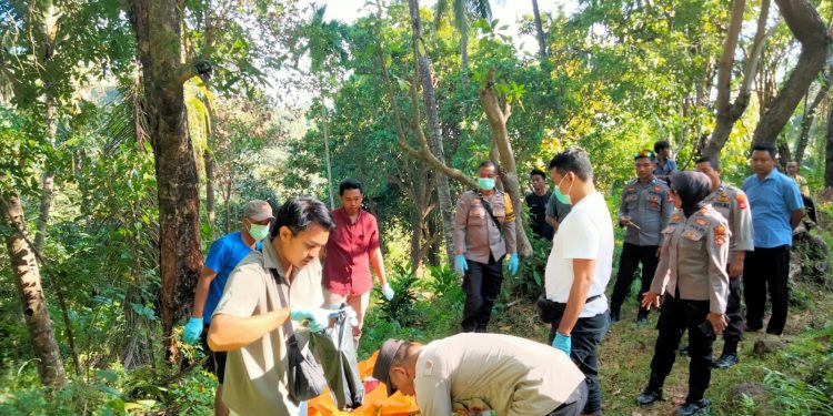 Mayat Pria Ditemukan di Perkebunan, Polsek Pemenang Selidiki Dugaan Bunuh Diri
