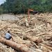 Ribuan Kayu Gelondongan Terseret Banjir Sumatera, Kemenhut Buka Suara