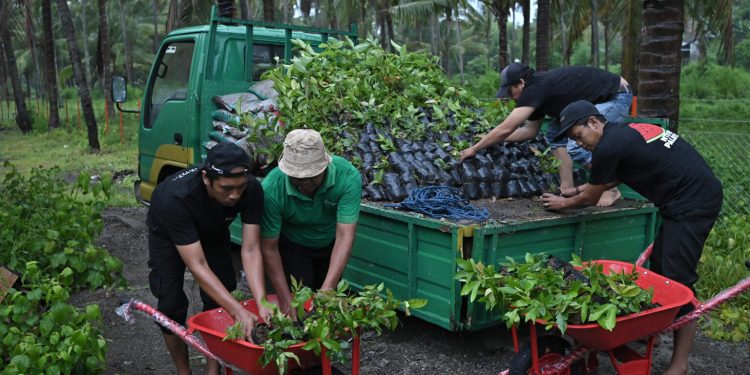 Dukung Sumbawa Hijau Lestari, Bank NTB Syariah Beri Kado Kebun Bibit di Hari Jadi Kabupaten Sumbawa