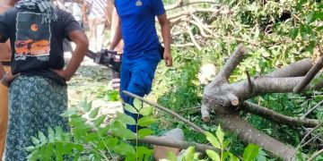 Personel Ditpolairud Polda NTB Bantu Warga Singkirkan Pohon Tumbang di Lombok Barat