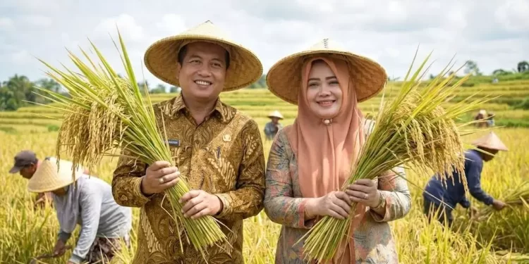 NTB Optimistis Perkuat Swasembada Pangan 2026, Produksi Padi 2025 Naik 16,85 Persen